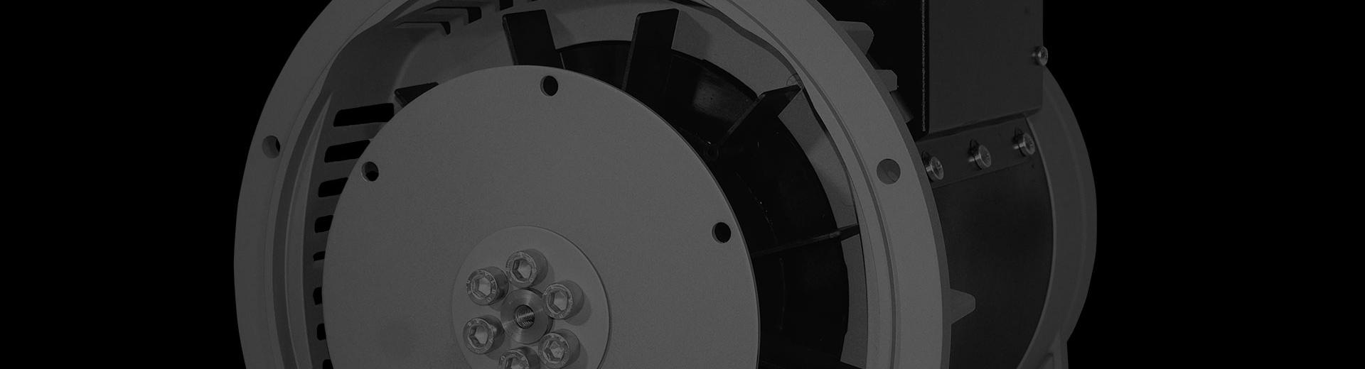 Brushless alternators with AVR