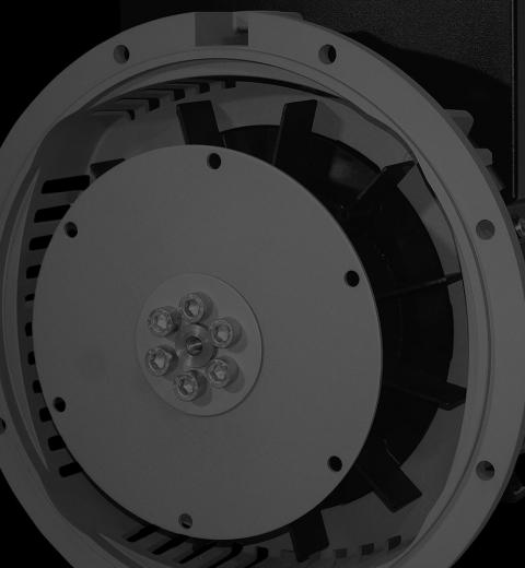 Brushless alternators with AVR